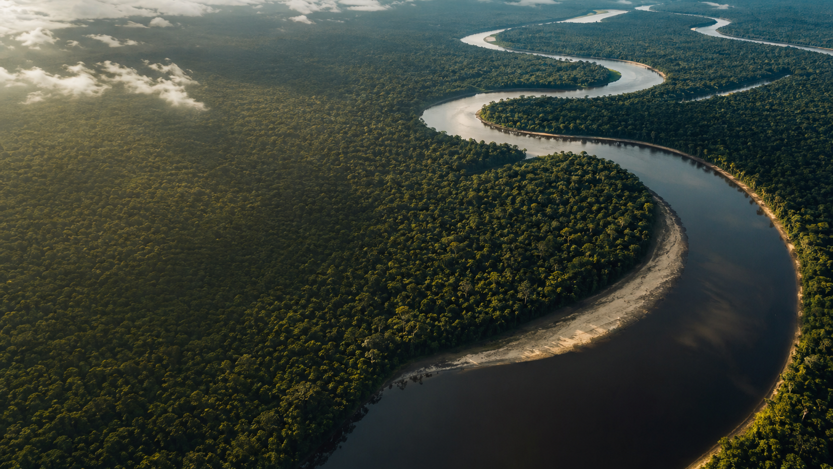 Vista aérea do Rio Amazonas e floresta